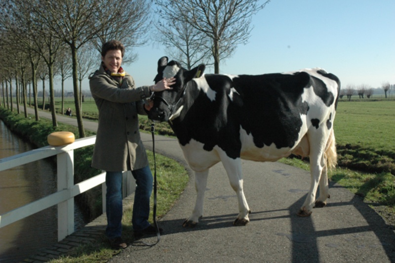 VPRO Labyrint Kracht Massa 2011